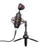 Mikrofon TRUST GXT 244 Buzz, streaming, stolni, crni