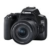 Digitalni fotoaparat CANON EOS 250D EF-S 18-55mm IS STM