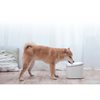 Fontana za kućne ljubimce XIAOMI Smart Pet Fountain