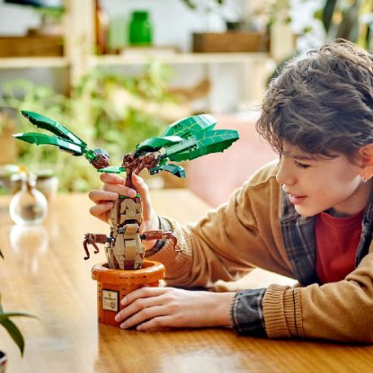 LEGO HARRY POTTER Mandragora