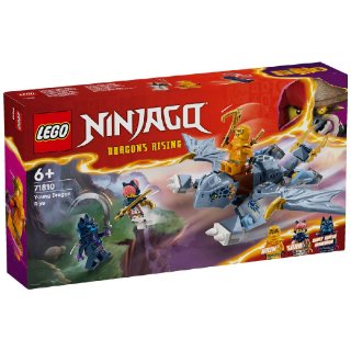 LEGO NINJAGO Mladi zmaj Riyu