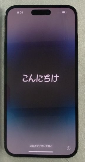 RABLJENI - Smartphone APPLE iPhone 14 Pro Max, 6,7", 6 GB, 128 GB, iOS, crni + maskica