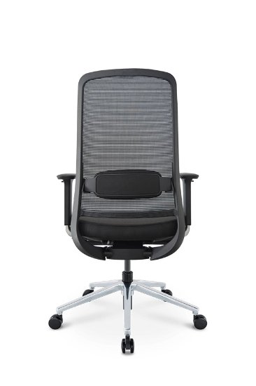 Ergonomska uredska stolica ERGOVISION Flex 02, crna