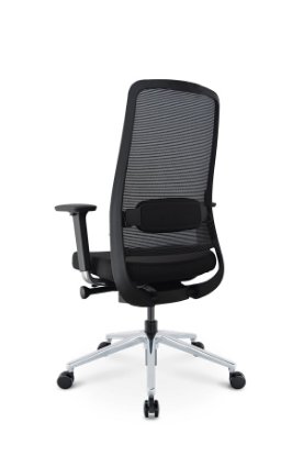 Ergonomska uredska stolica ERGOVISION Flex 02, crna