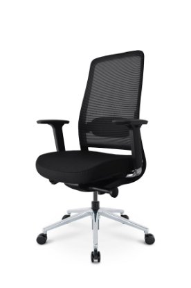 Ergonomska uredska stolica ERGOVISION Flex 02, crna