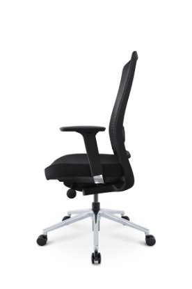 Ergonomska uredska stolica ERGOVISION Flex 02, crna