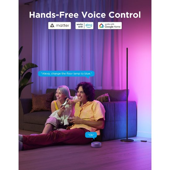Pametna LED podna svjetiljka GOVEE Floor Lamp Lite