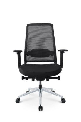 RABLJENI - Ergonomska uredska stolica ERGOVISION Flex 02, crna