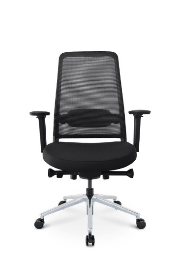RABLJENI - Ergonomska uredska stolica ERGOVISION Flex 02, crna