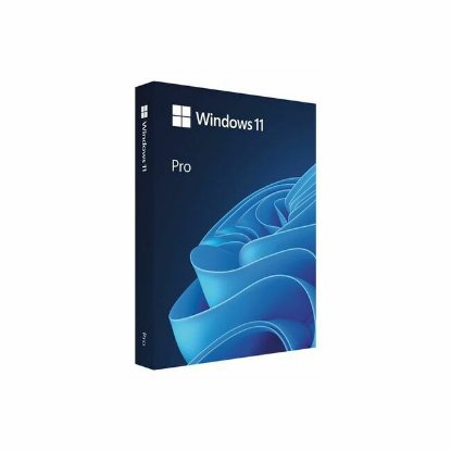 MICROSOFT Windows 11 Pro, 64-bit, Retail, USB, HAV-00163