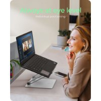 Stalak za laptop ICY BOX IB-NH300, do 17", sivi