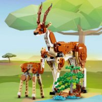 LEGO CREATOR Divlje životinje sa safarija
