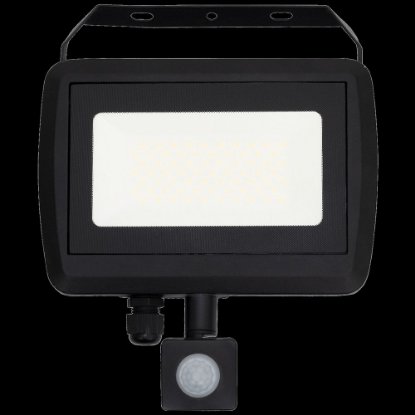 Reflektor Home, LED, sa detektorom pokreta, 50 W, 4000 lm, IP65