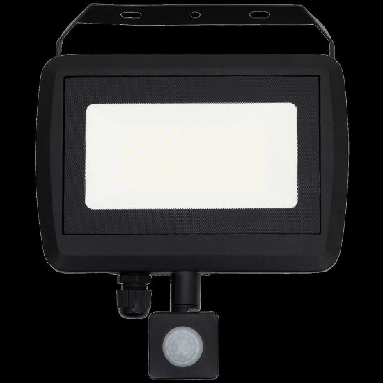 Reflektor Home, LED, sa detektorom pokreta, 50 W, 4000 lm, IP65