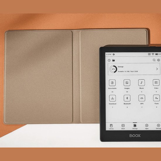 Futrola BOOX za Go 6, magnetna, crna