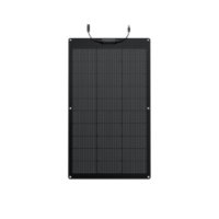 Solarni panel ECOFLOW, 100W, fleksibilno