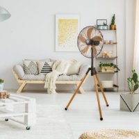 Ventilator DOMO DO8146, samostojeći, 45 cm, 5 lopatica, crni+ drvo