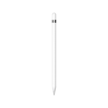 APPLE Pencil (1.gen 2022), Stylus olovka za iPad, sa USB-C na Pencil adapterom