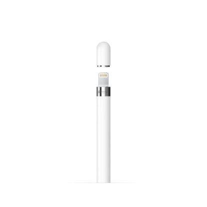 APPLE Pencil (1.gen 2022), Stylus olovka za iPad, sa USB-C na Pencil adapterom