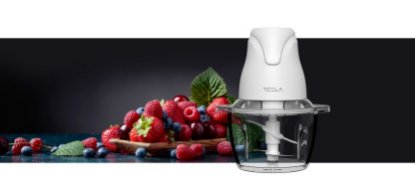 Sjeckalica TESLA FC302W, 400 W, 1,2 l, 4 oštrice, staklo, bijela