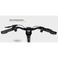 Električni romobil MS ENERGY Flare, autonomija do 60km, brzina 25km/h, kotači 10", crni