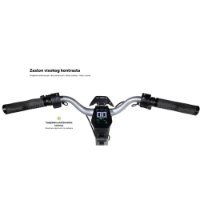 Električni romobil MS ENERGY Flare X, autonomija do 70km, brzina 25km/h, kotači 10", sivi