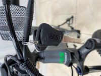 RABLJENI - Električni bicikl MS ENERGY e-bike m100, kotači 29", sivi