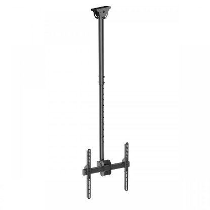 Nosač stropni za TV SBOX CPLB-9441, 32"- 55", 50kg, zakretni