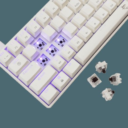 Tipkovnica WHITE SHARK GK-004232 Shinobi-2, RGB, mehanička, smeđi switch, HR, bijela