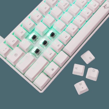 Tipkovnica WHITE SHARK GK-004232 Shinobi-2, RGB, mehanička, smeđi switch, HR, bijela