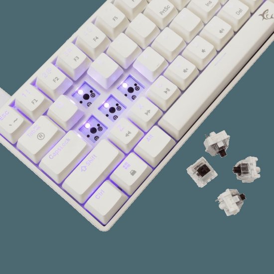 Tipkovnica WHITE SHARK GK-004232 Shinobi-2, RGB, mehanička, smeđi switch, HR, bijela