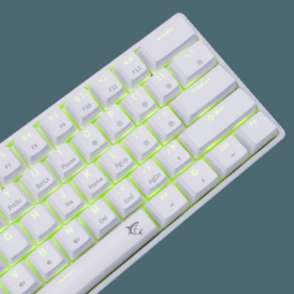 Tipkovnica WHITE SHARK GK-004221 Shinobi-2, RGB, mehanička, plavi switch, US, bijela