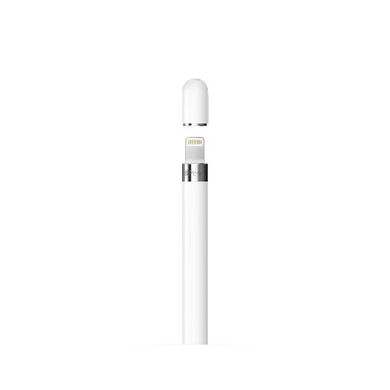 APPLE Pencil (1.gen 2022), Stylus olovka za iPad, sa USB-C na Pencil adapterom