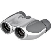 Dvogled OLYMPUS 17214, 8X21 DPC I, srebrna