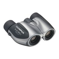 Dvogled OLYMPUS 17214, 8X21 DPC I, srebrna