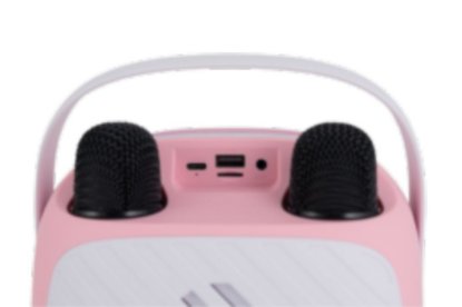 Zvučnik VIVAX BS-20 Duo Pink, BT, USB, AUX, karaoke, 20W, rozi