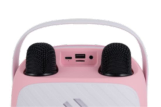 Zvučnik VIVAX BS-20 Duo Pink, BT, USB, AUX, karaoke, 20W, rozi
