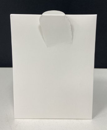 RABLJENI - Mrežna nadzorna kamera XIAOMI CW500 Dual, rotirajuća i fiksna kamera, vanjska