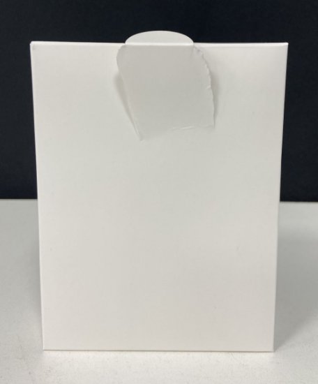 RABLJENI - Mrežna nadzorna kamera XIAOMI CW500 Dual, rotirajuća i fiksna kamera, vanjska