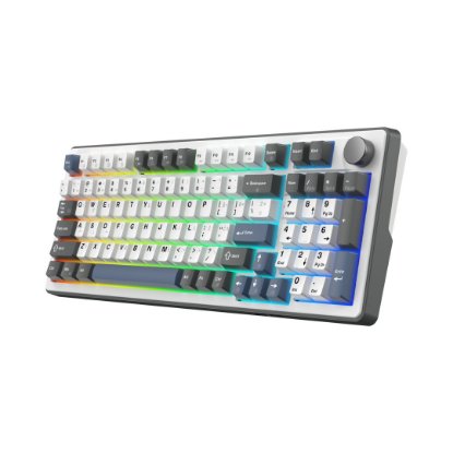 Tipkovnica WHITE SHARK Excalibur L GK-007252, RGB, crveni KTT Wine Red switch, mehanička, HR layout, bijela, USB / 2,4GHz / BT