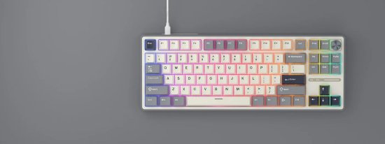 Tipkovnica ROYAL KLUDGE RK-R87PRO, RGB osvjetljenje, mehanička, Brown prekidači, žična, US raspored, 88 tipki, Half Grey